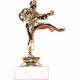 Karate trofej